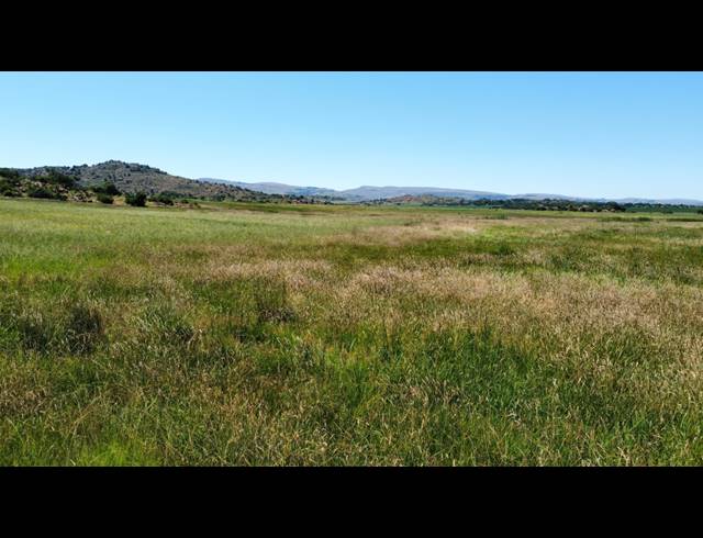 190HA FARM FOR SALE IN ROOSSENEKAL AH